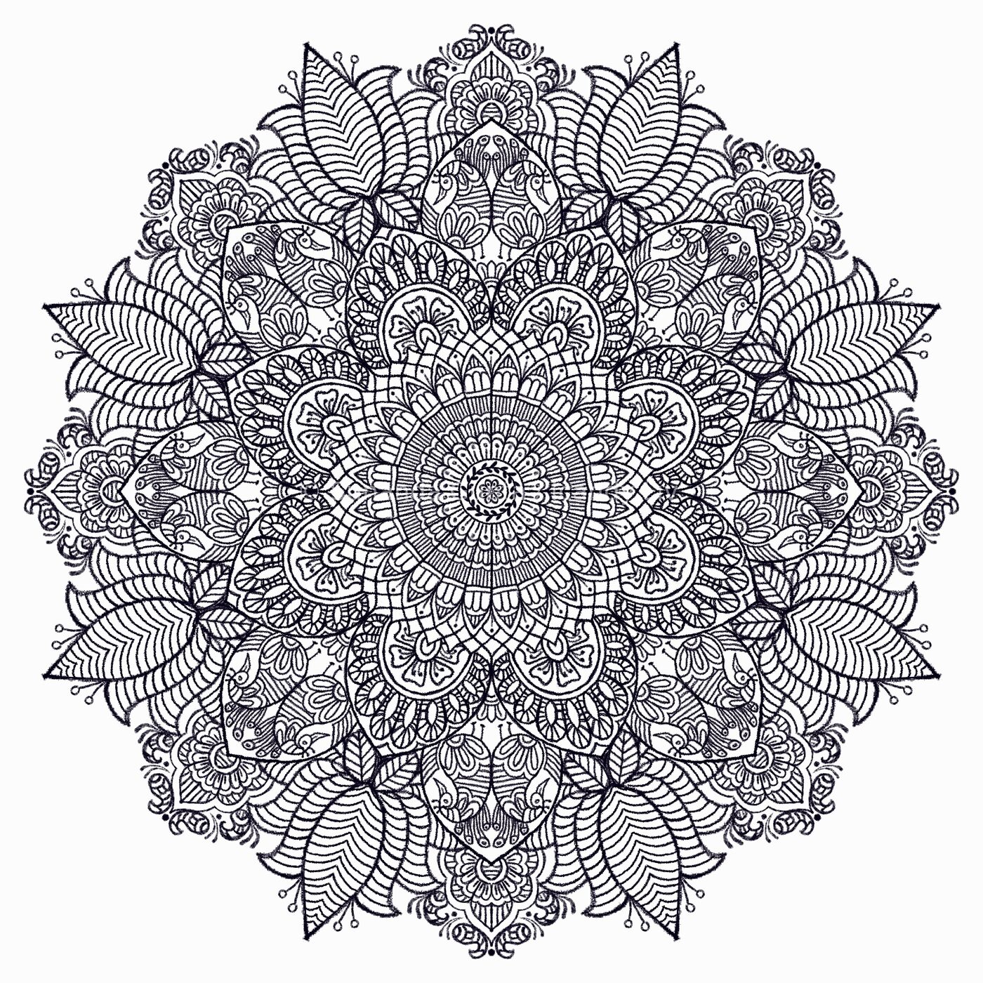 Black and white intricate peacock feather mandala