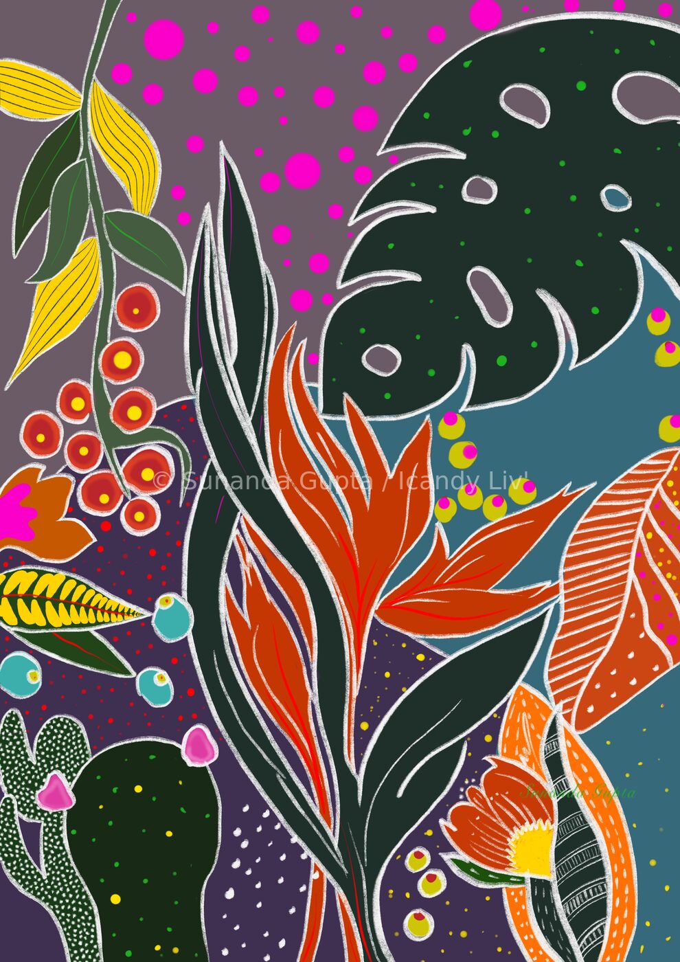 Tropical botanical illustration